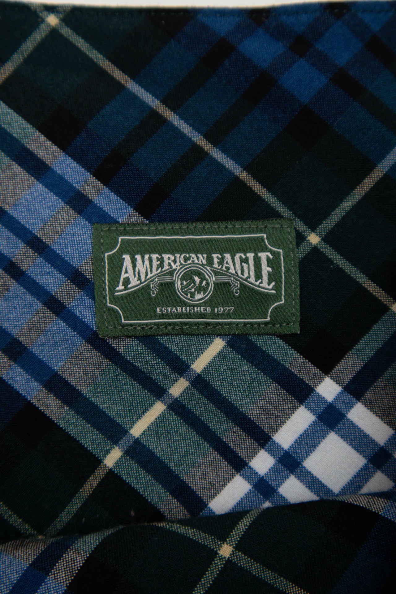 #58 American Eagle Plaid Pleated Mini Skirt Green | c. 170 | Size 8