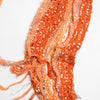 #156 Scarf Orange | c. 204 | Size